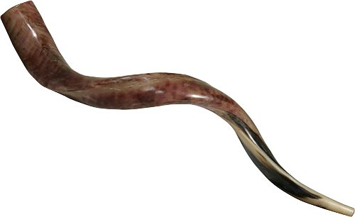 shofar